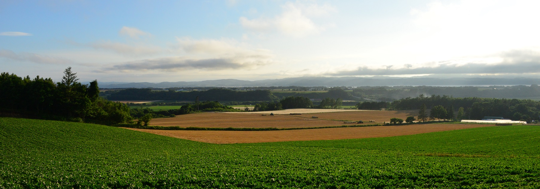 DSC_7172-1