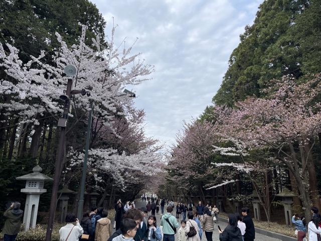 IMG_0970（中）