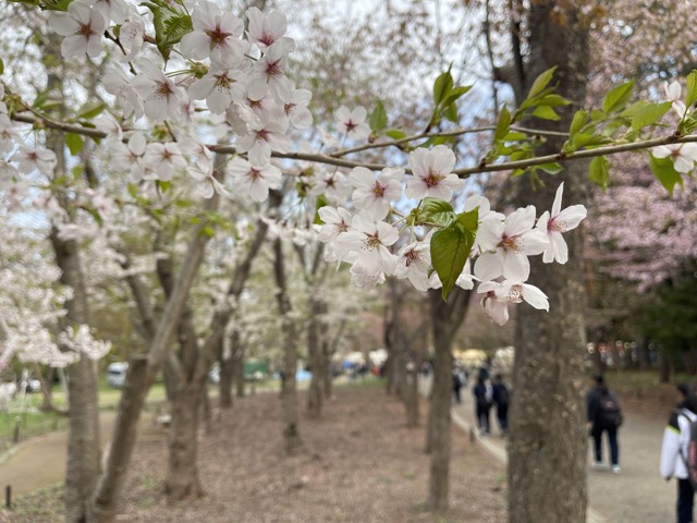 IMG_0976（中）