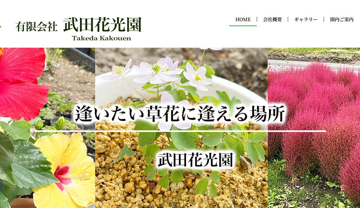 次の一手ホームページ紹介用サムネイル画像
