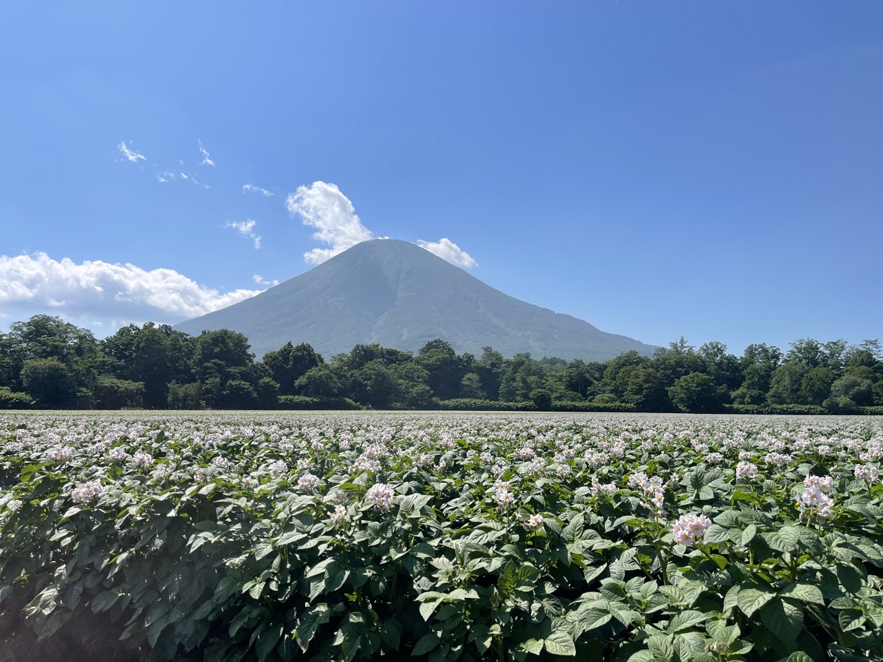 IMG_1386（大）